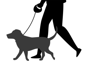 犬との散歩(ワンポ)をシミュレートしてみる。その1