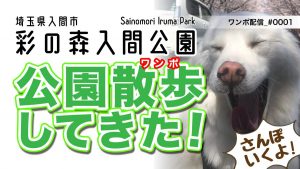 彩の森入間公園ワンポ(散歩)しました。