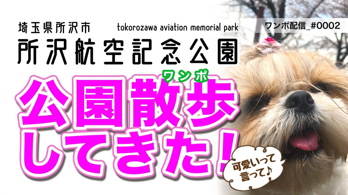 航空公園ワンポ(散歩)しました(^^)