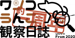 ウンチの方角を観察して約1年