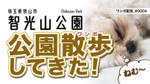 智光山公園ワンポ(散歩)しました。